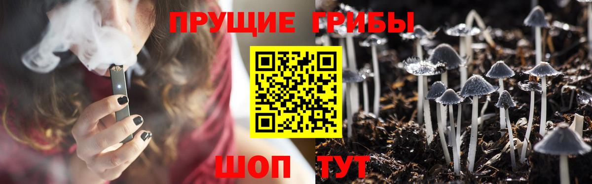 что такое наркотик  Вход с VPN  Новоуральск  Галлюциногенные грибы мицелий  Псилоцибиновые грибы Magic Shrooms 